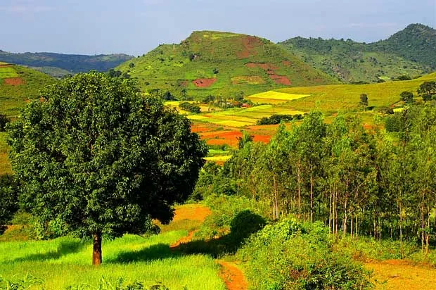 Araku Valley, Eastern Ghats