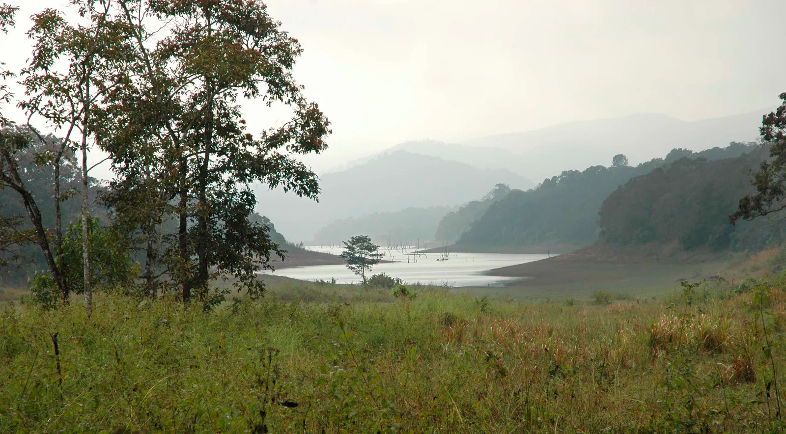 Periyar National Park, Thekkady