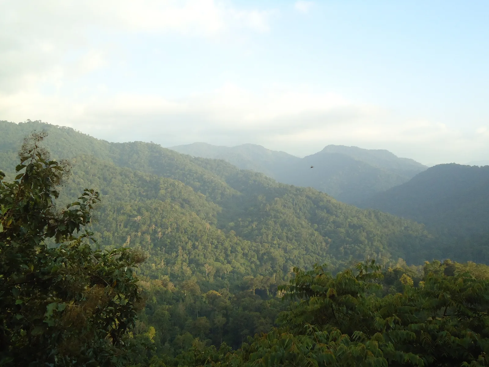 Sabarimala Sri Ayyappa Temple